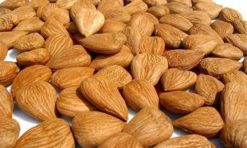 Ядро абрикоса